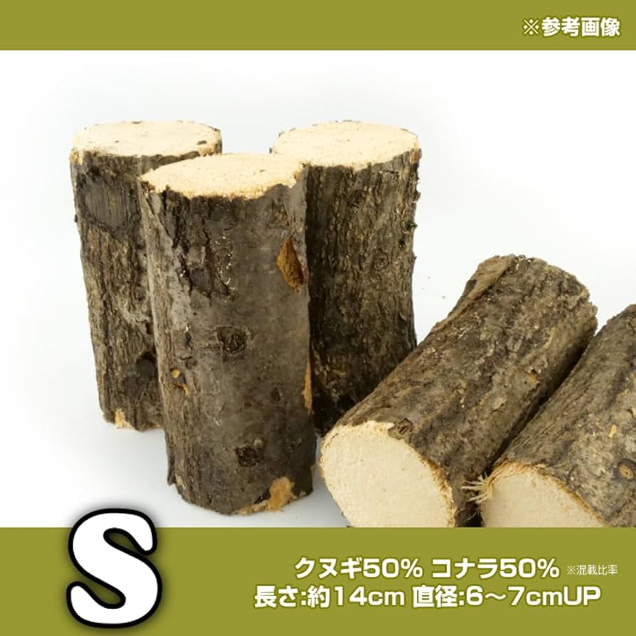 【送料無料】 産卵木　コナラ　ほだ木 クワガタ　カブトムシ　22本入り コナラ産卵木 中目 並材 1本 昆虫 クワガタ用 | チャーム